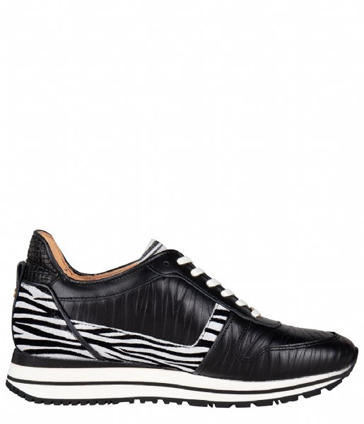 Fred de la Bretoniere  Sneaker Zebra Printed black